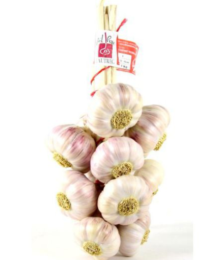 Ail  500g