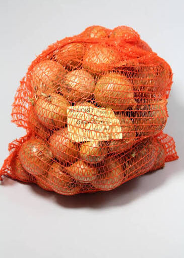 Oignon filet 5kg